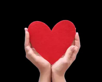 Health Blogs